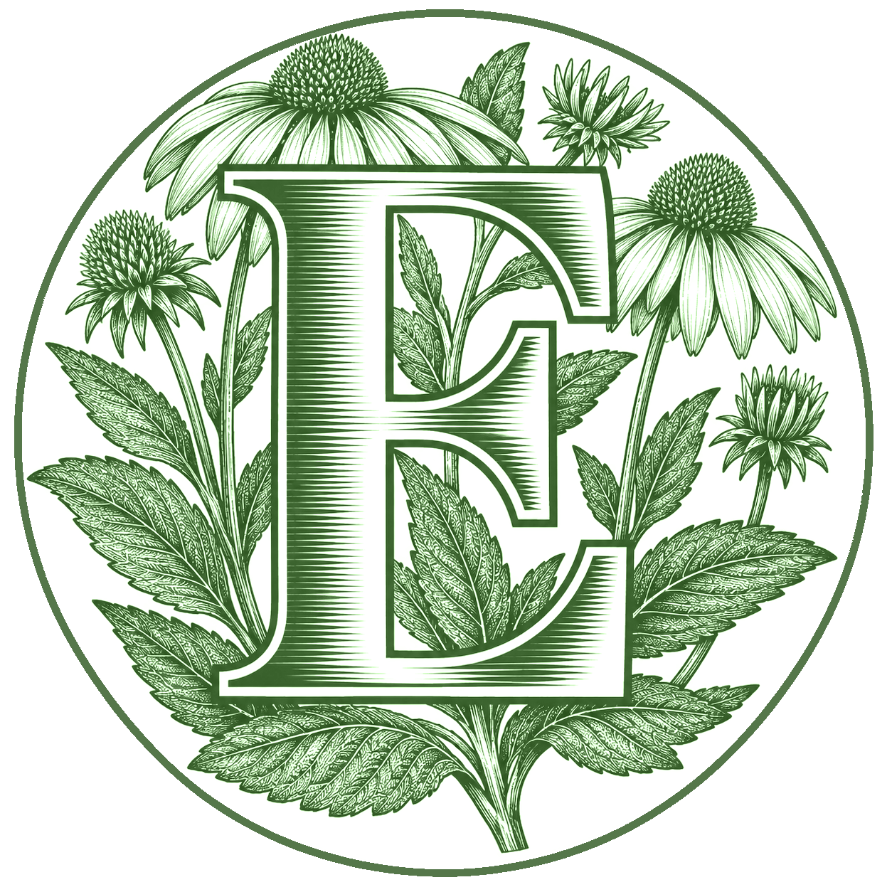 E