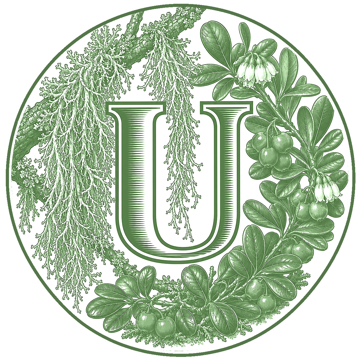 U