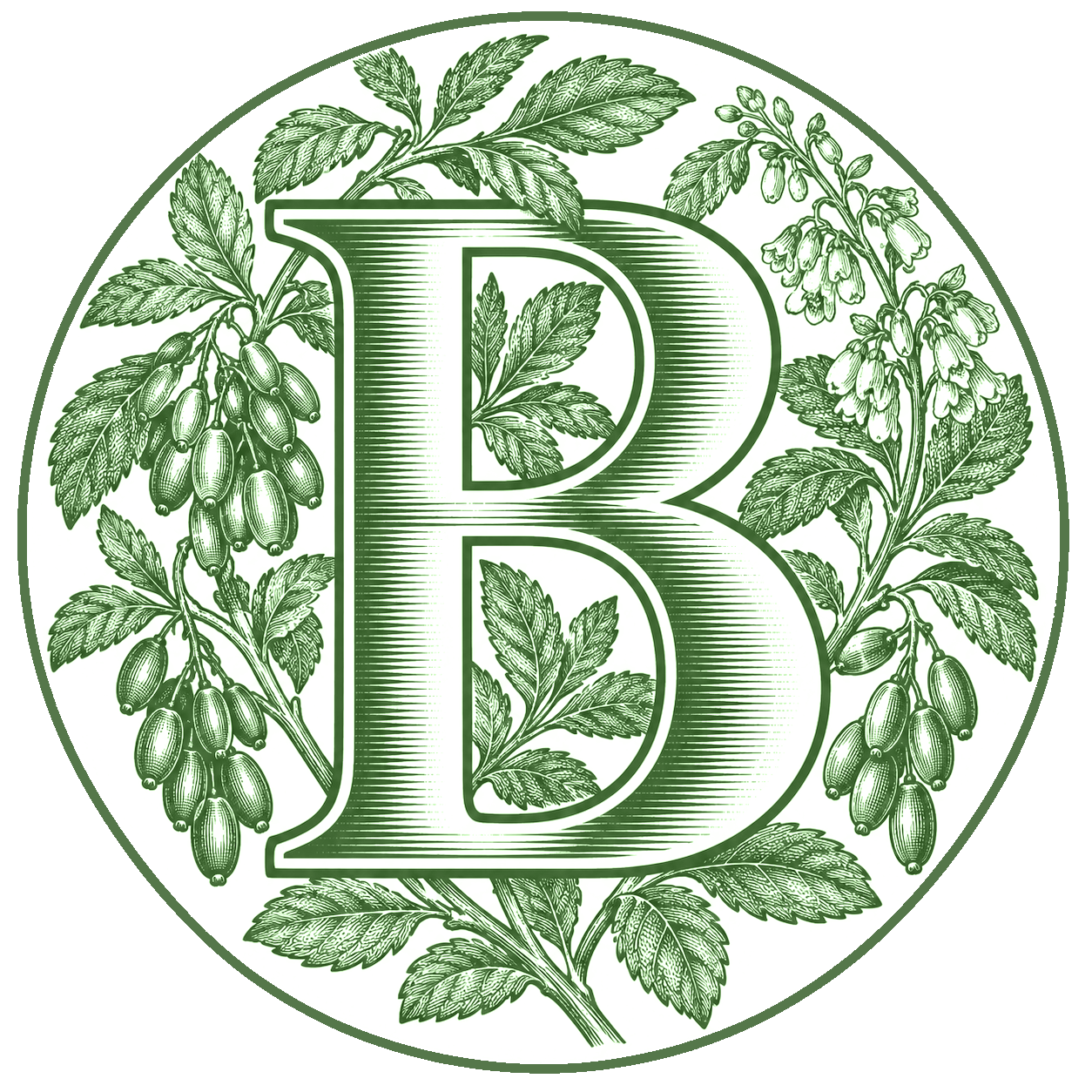 B