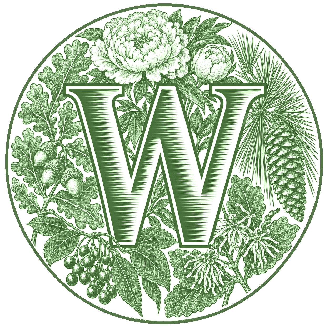 W