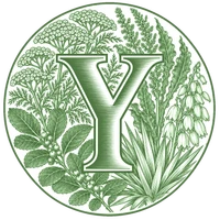Y