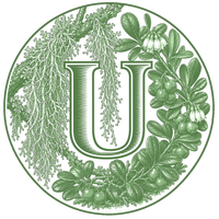 U