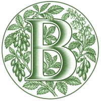 B