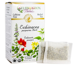 Echinacea Purpurea Herb ~ 24 Teabags ~ Organic