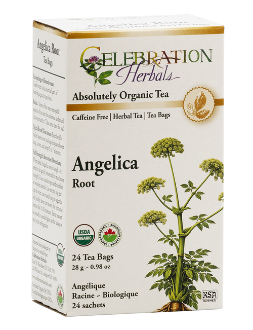 Angelica Root ~ 24 Teabags ~ Organic
