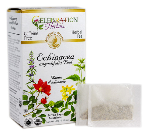 Echinacea Angustifolia Herb ~ 24 Teabags ~ Organic