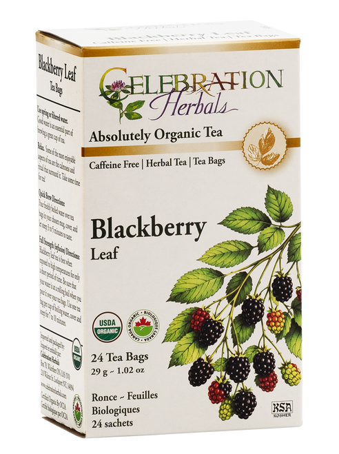 Blackberry Leaf ~ 24 Teabags ~ Organic