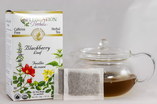 Blackberry Leaf ~ 24 Teabags ~ Organic