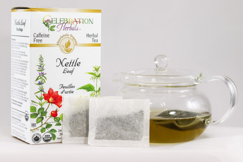 Nettle Leaf ~ 24 Teabags ~ Organic