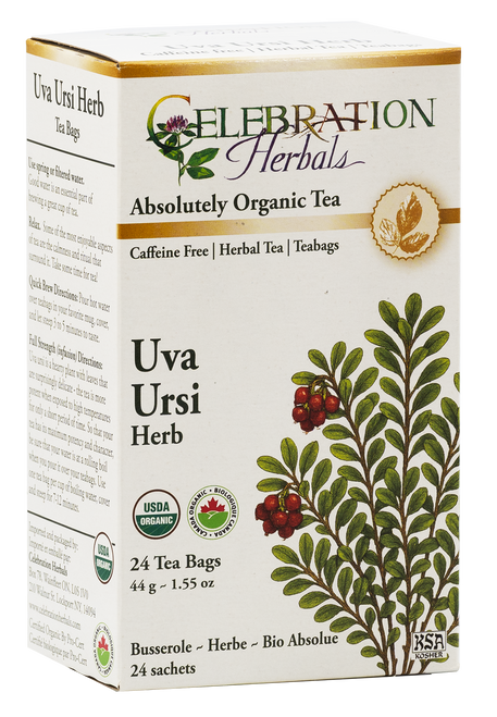 Uva Ursi (Bearberry) Leaf ~ 24 Teabags ~ Organic