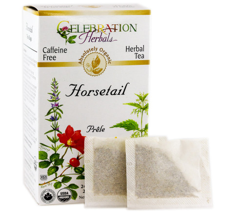 Horsetail (AKA Shavegrass) Herb ~ 24 Teabags ~ Organic