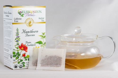 Hawthorn Berries ~ 24 Teabags ~ Organic