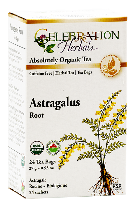 Astragalus Root ~ 24 Teabags ~ Organic