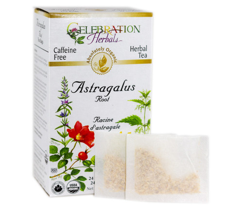 Astragalus Root ~ 24 Teabags ~ Organic