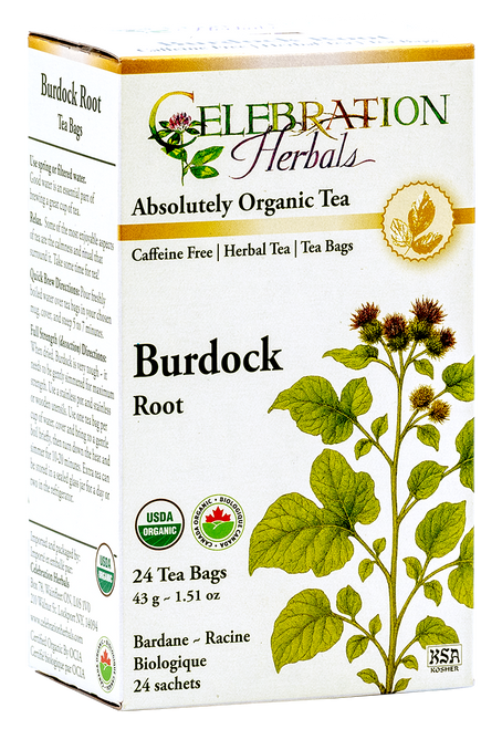 Burdock Root ~ 24 Teabags ~ Organic