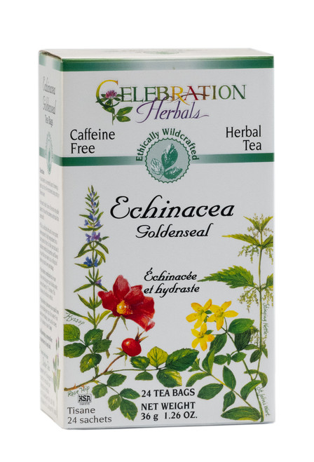 Echinacea Goldenseal Blend ~ 24 Teabags ~ Wildcrafted