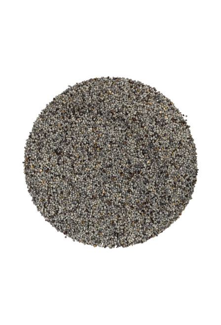Poppy Seed Whole ~ Bulk ~ Organic ~ 454g