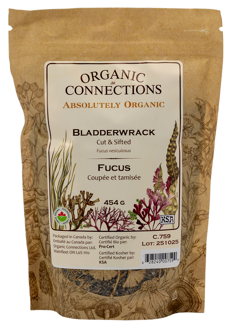 Bladderwrack C/S ~ Bulk ~ Organic ~ 1 LB