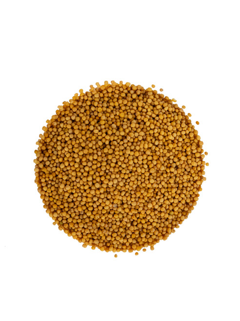 Mustard Seed Yellow Whole ~ Bulk ~ Organic ~ 454g