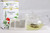 Damiana Leaf ~ 24 Teabags ~ Organic