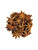 Star Anise Whole ~ Bottled Spice ~ Organic ~ 15g