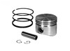 PISTON ASSY (+020)10,12.5 HP