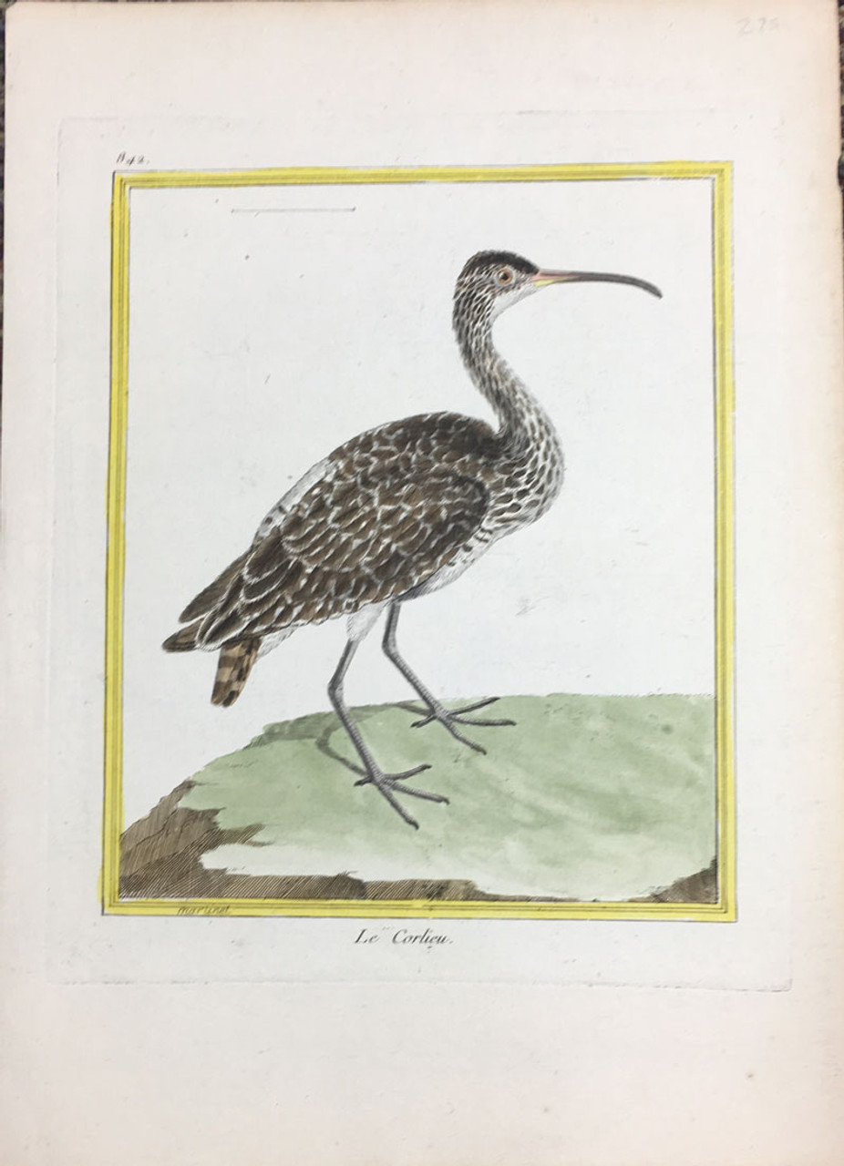 Curlew - 1780s