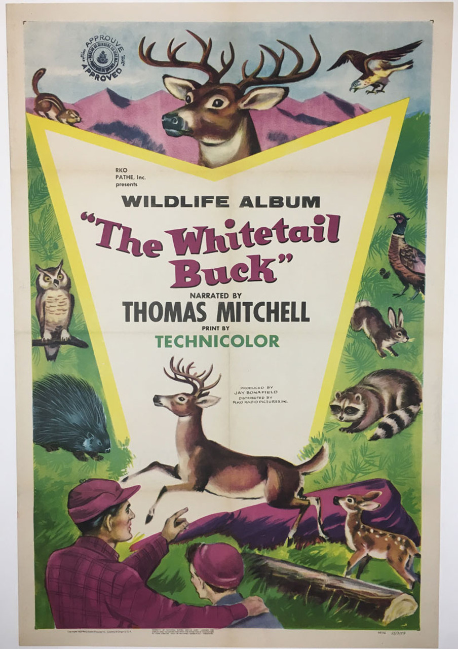 The Whitetail Buck Movie Poster