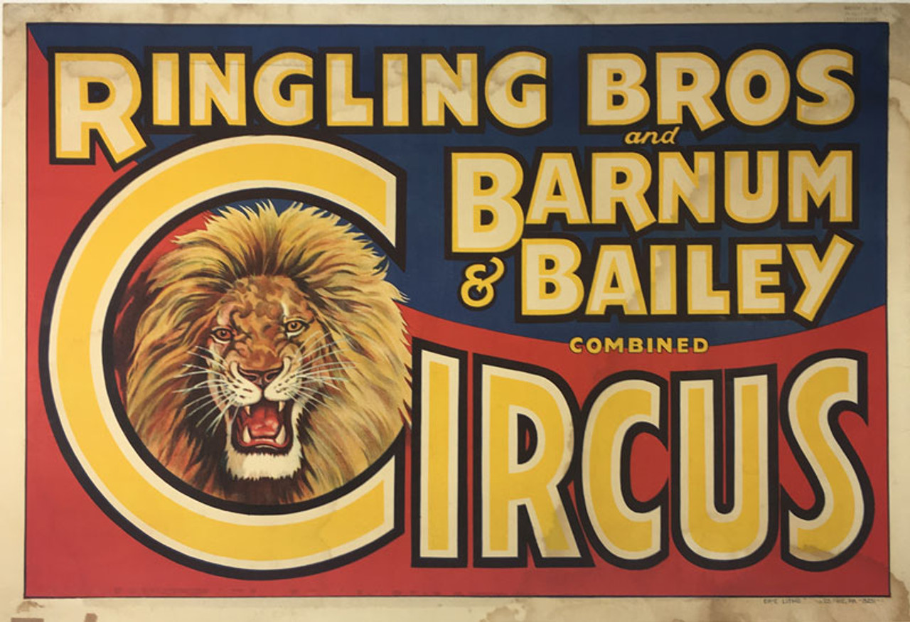 Ringling Bros Barnum & Bailey Lions