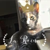 La Reina Coffee