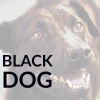 Black Dog Blend Coffee
