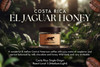 Costa Rica El Jaguar Honey — a mellow, juicy single-origin coffee with notes of raspberry, apricot, milk chocolate, and honey. Mild body and very drinkable medium-light roast (Level 3) from Old Crown Coffee.