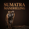 Sumatra Mandheling — a classic heavy-bodied, earthy dark roast with warming spices, vanilla, toast, cream, and cedar. Bold and full-flavored with low acidity. Medium-Dark roast (Level 5) single-origin from Old Crown Coffee.