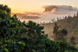 The Journey from Farm to Cup: Why Coffee Origins Matter