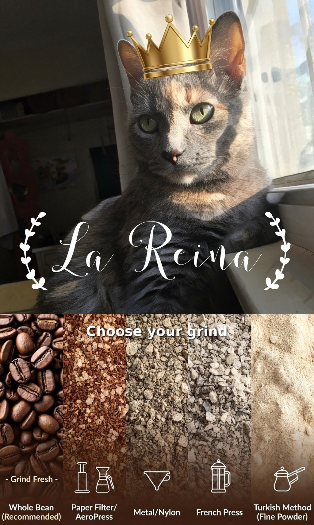 La Reina with grind guide