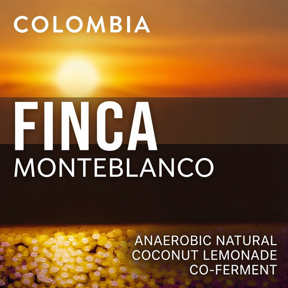 Colombia Finca Monteblanco Anaerobic Natural Coconut Lemonade Co-ferment. Bright and unique with notes of lemon, coconut, pomegranate, mandarin orange, and dark chocolate. A fun, experimental single-origin medium-light roast from Old Crown Coffee.