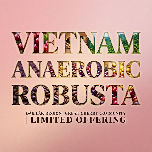 Vietnam Anaerobic Robusta Limited — a bold, unique Robusta from the Great Cherry Community in Đắk Lắk. Notes of cherry, pipe tobacco, ginger, cocoa powder, and toasted rice. Medium-light roast with a serious caffeine kick from Old Crown Coffee.