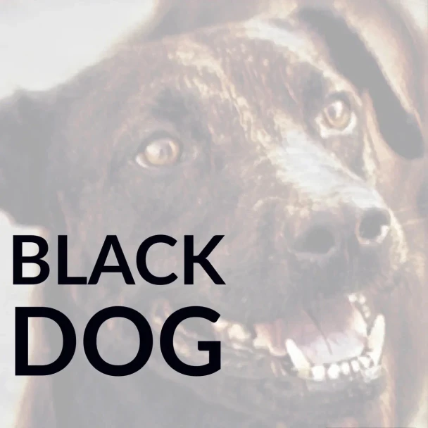 Black Dog Blend Coffee