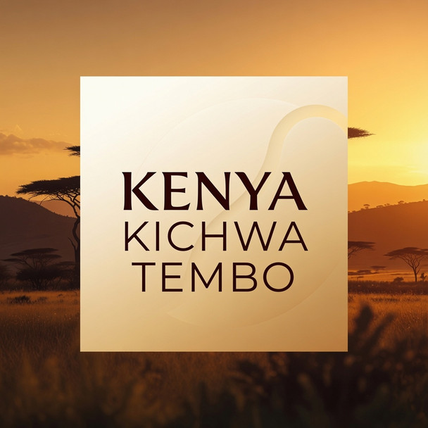 Kenya Kichwa Tembo — a classic Kenyan profile with bright notes of black tea, lemon, dark chocolate, cane sugar, and stone fruit. Sweet, vibrant, and full-bodied medium-light roast (Level 3) from Old Crown Coffee.