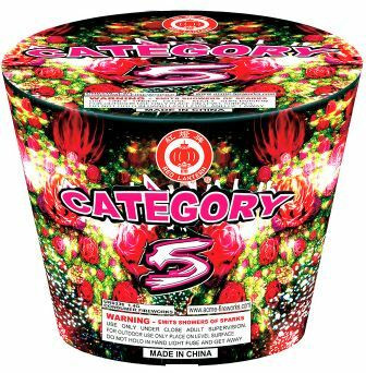 Category 5