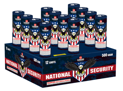 National Security