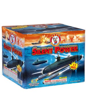 Silent Power