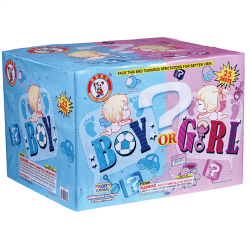 Boy or Girl Pink Aerial 500 Gram Cake