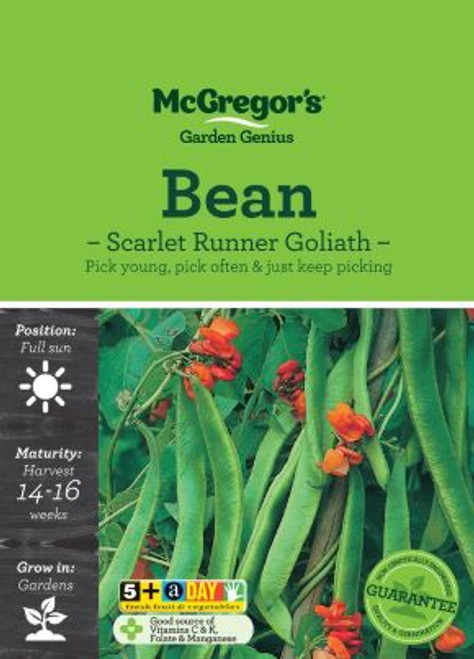 Mcgregors Beans Scarlet Runner Goliath Vege Seed