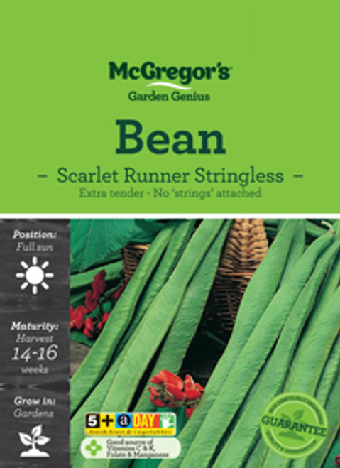 Mcgregors Beans Stringless Scarlet Runner Vege Seed