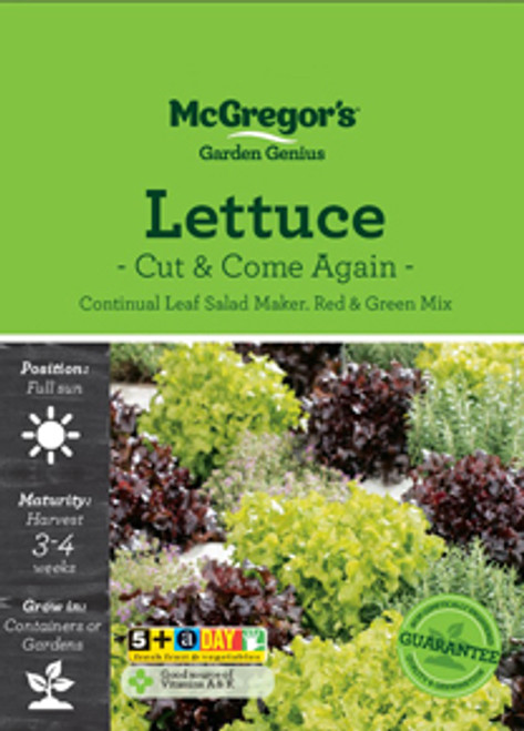 Mcgregors Lettuce Cut & Come Again