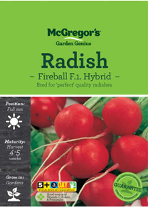 Mcgregors Radish Fireball F1 Hybrid Vege Seed