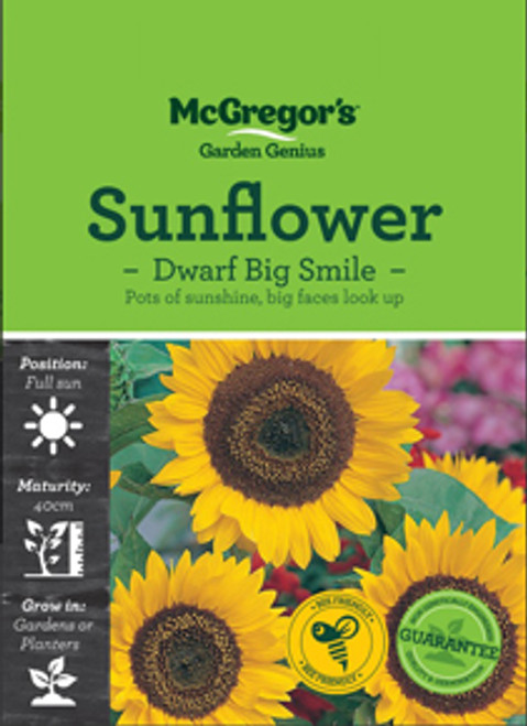 Mcgregors Sunflower Big Smile Seed