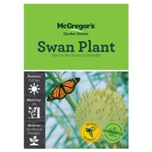 Mcgregors Swan Plant Flower Seed