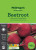 Mcgregors Beetroot Detroit Dark Red Vege Seed